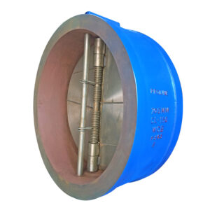 Dual Plate Check Valves