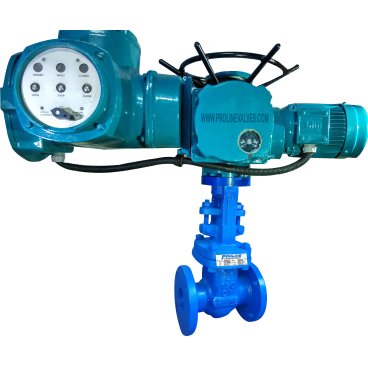 MOTORIZED-GATE-VALVES Motorized Gate Valve